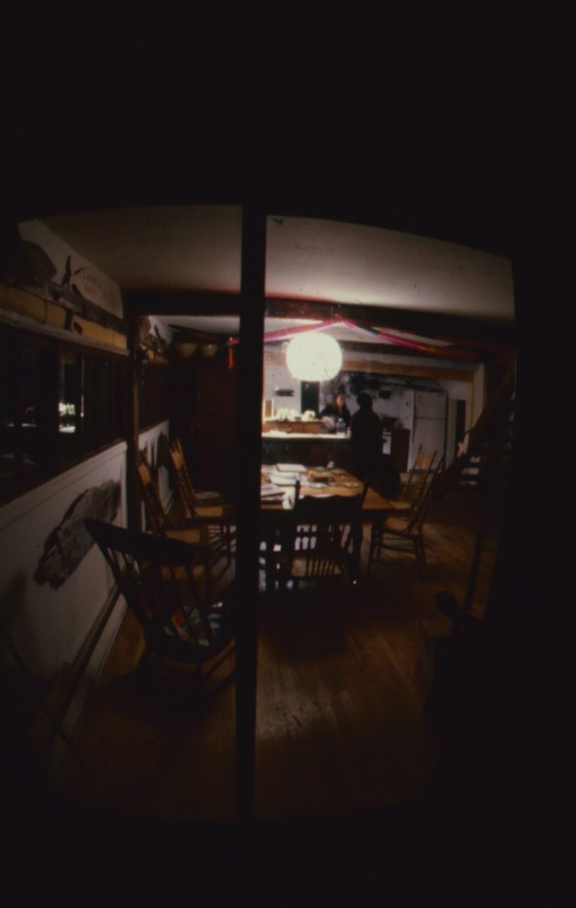 SUSAN PELISH – SOUTH FLORIDA ARTIST