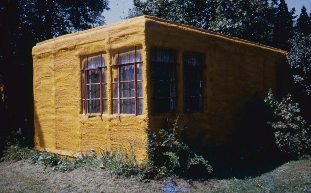 SUSAN PELISH – SOUTH FLORIDA ARTIST