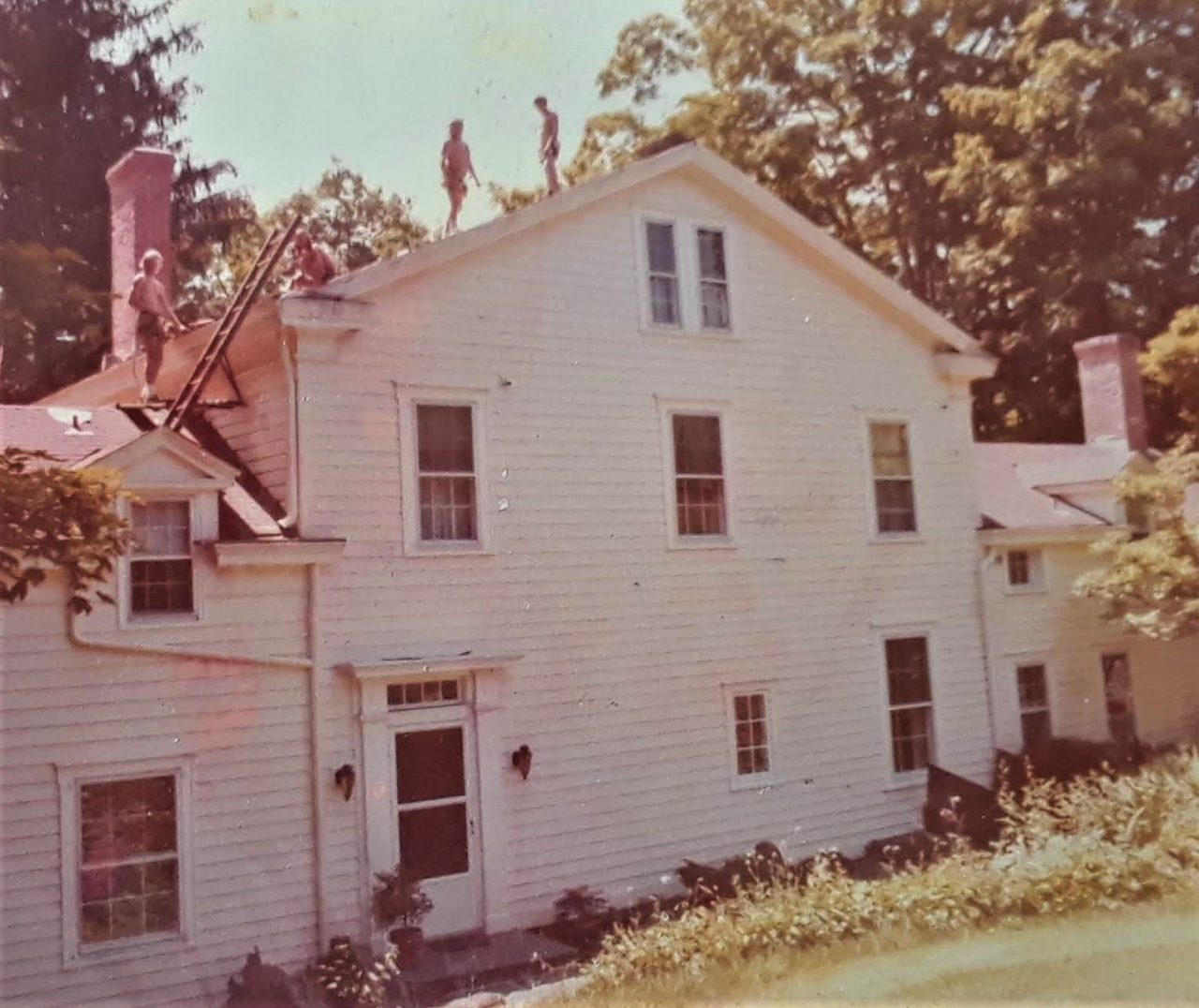 SUSAN PELISH – SOUTH FLORIDA ARTIST