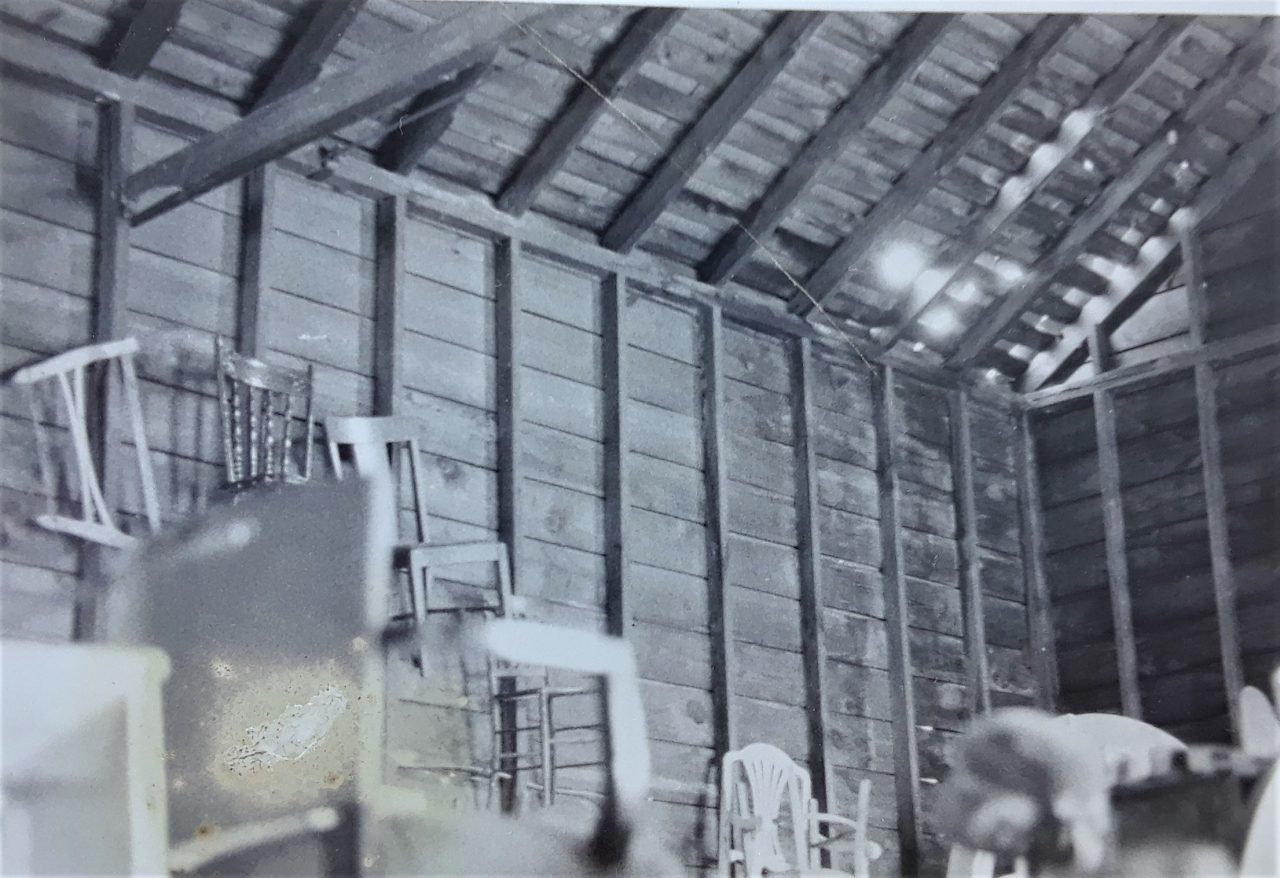 SUSAN PELISH – SOUTH FLORIDA ARTIST