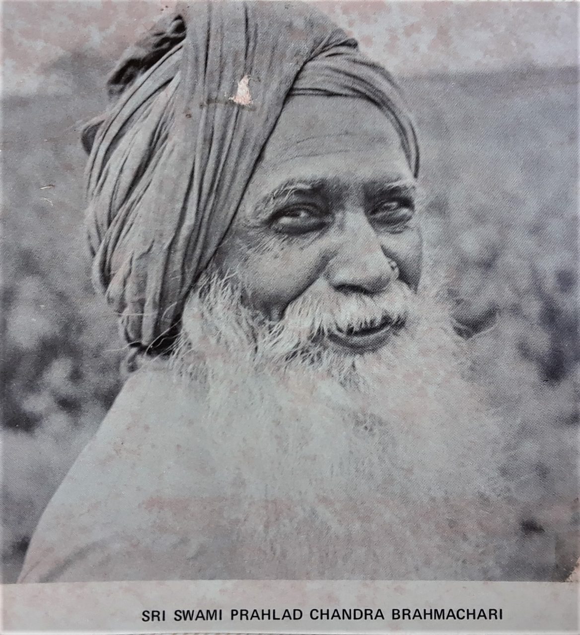 SUSAN PELISH – SOUTH FLORIDA ARTIST