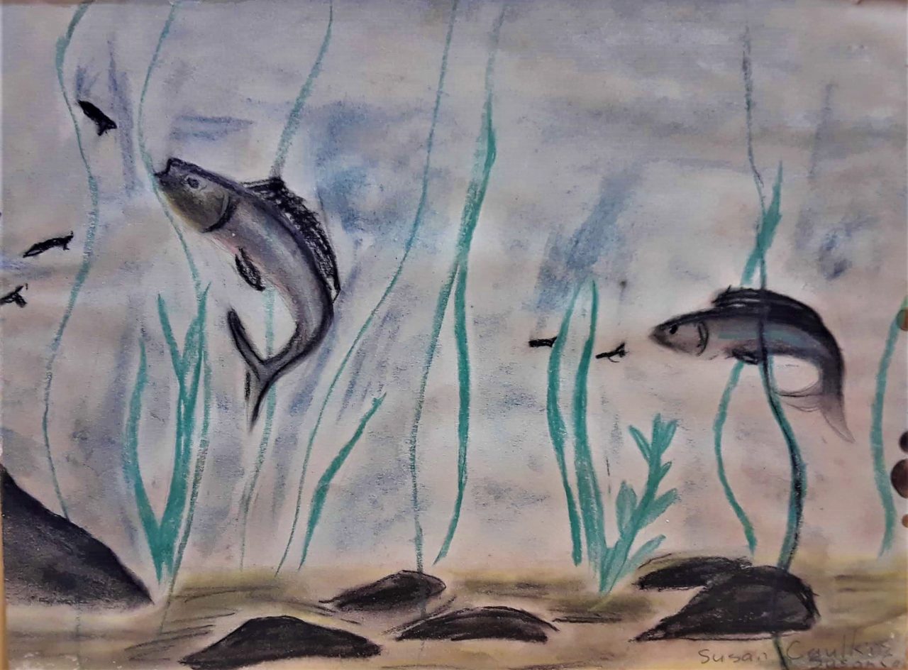 SUSAN PELISH – SOUTH FLORIDA ARTIST