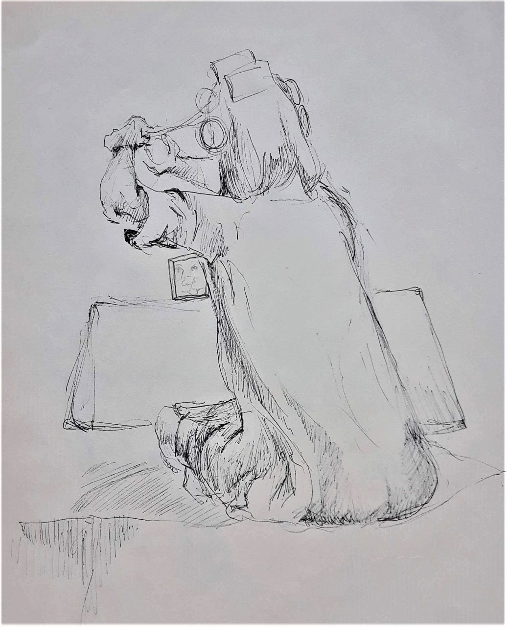 SUSAN PELISH – SOUTH FLORIDA ARTIST