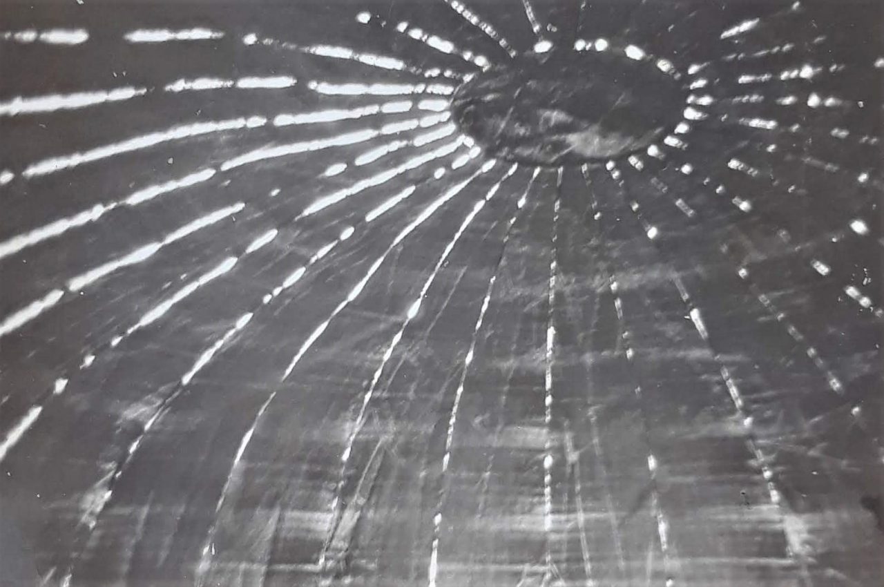 SUSAN PELISH – SOUTH FLORIDA ARTIST