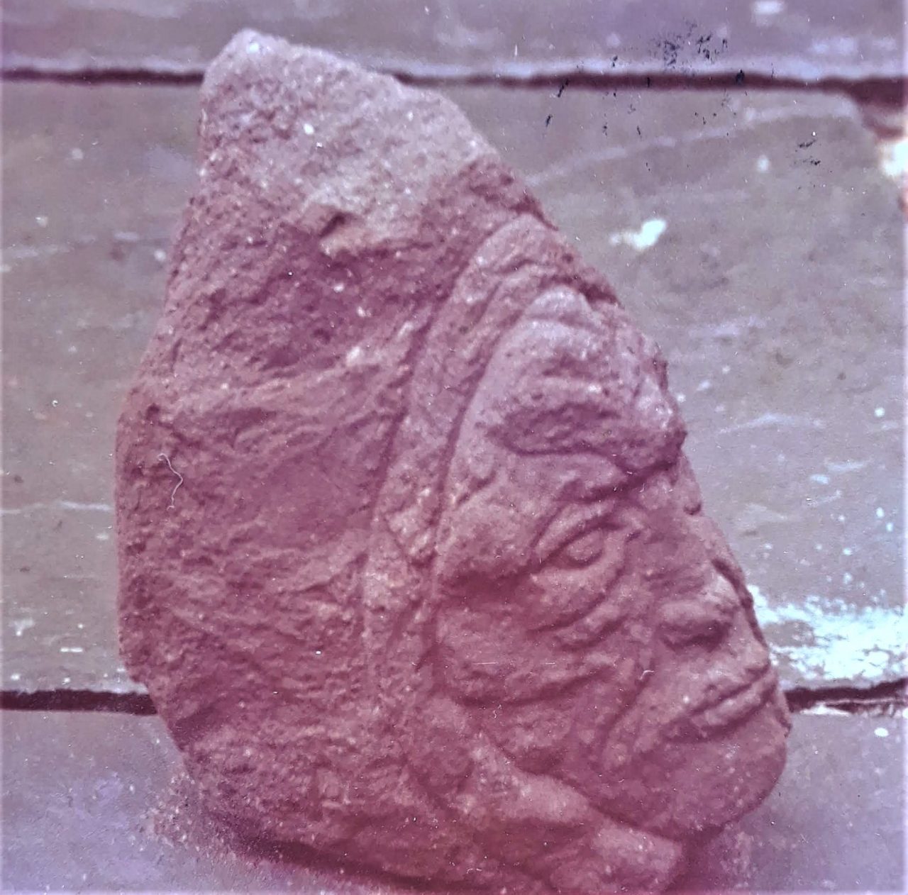 SUSAN PELISH – SOUTH FLORIDA ARTIST