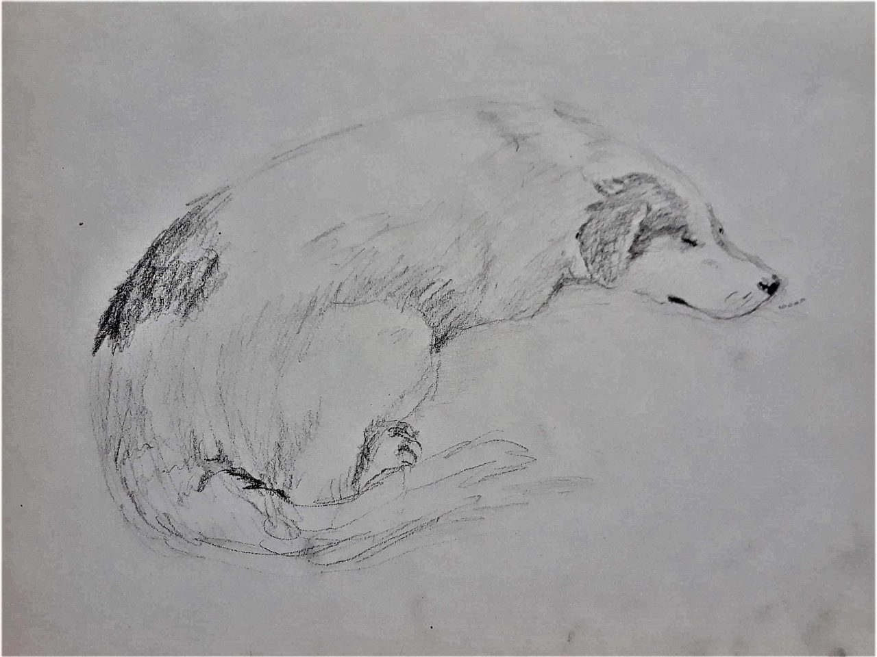 SUSAN PELISH – SOUTH FLORIDA ARTIST