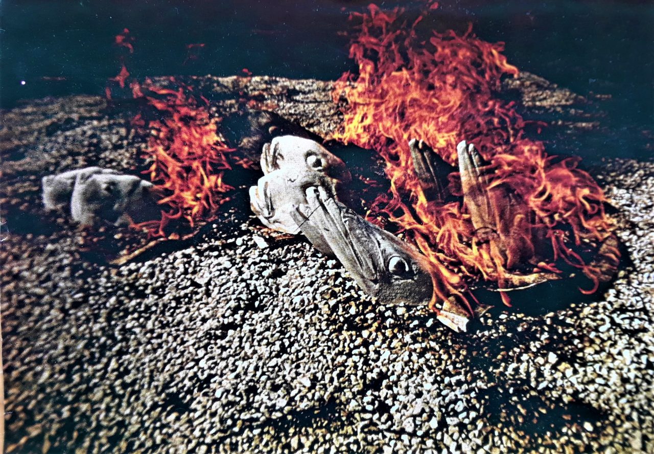 SUSAN PELISH – SOUTH FLORIDA ARTIST