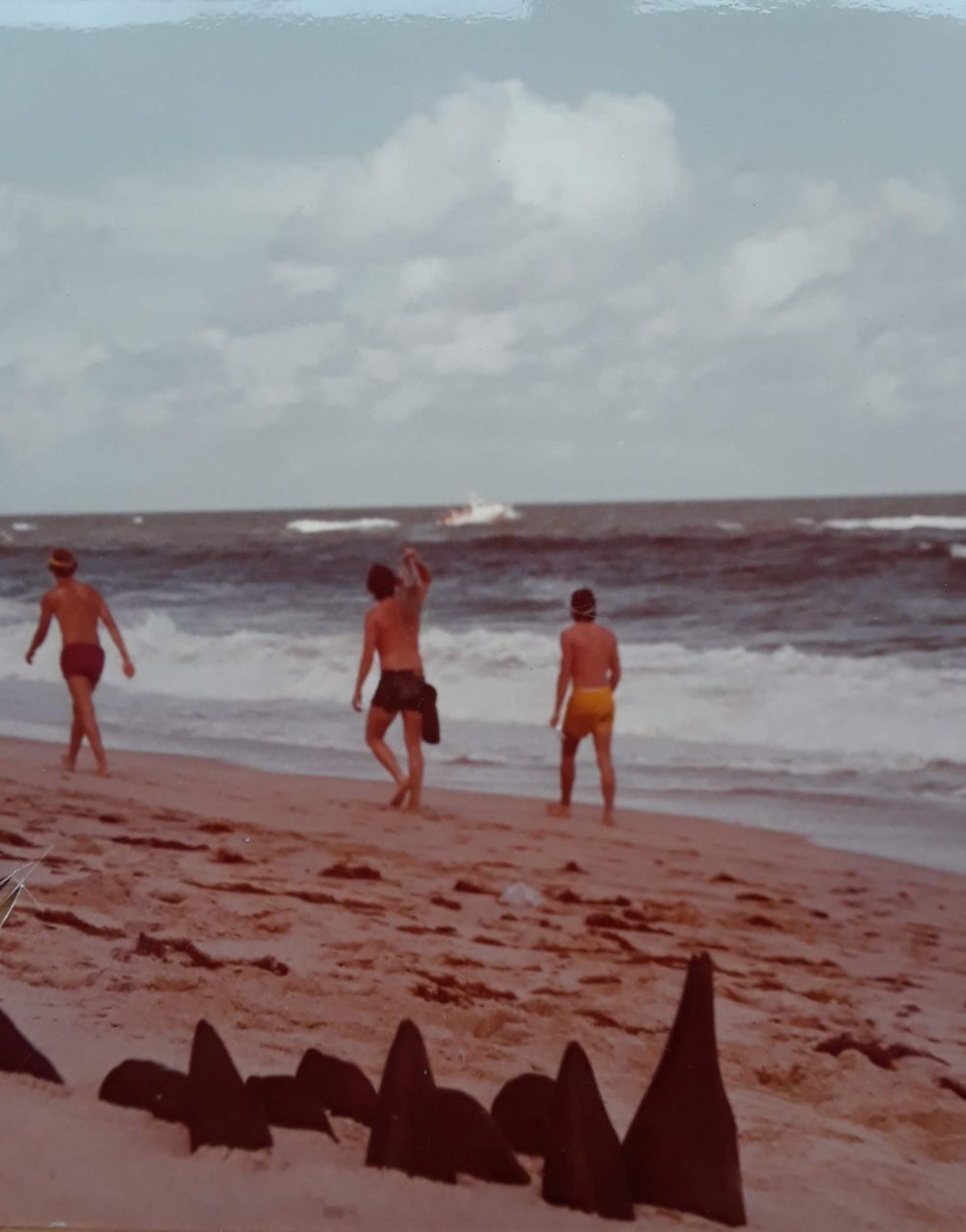 SUSAN PELISH – SOUTH FLORIDA ARTIST