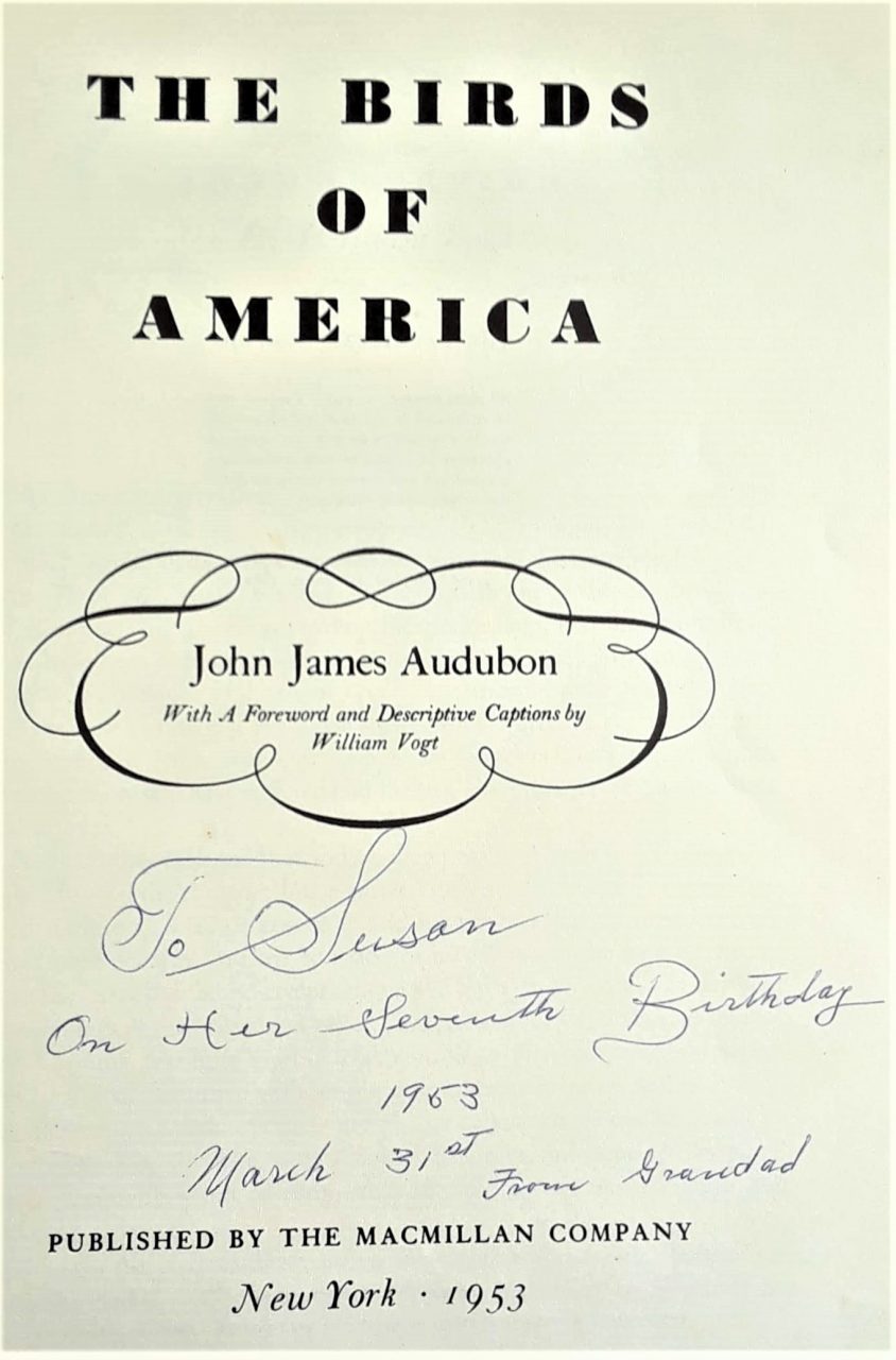 SUSAN PELISH – SOUTH FLORIDA ARTIST