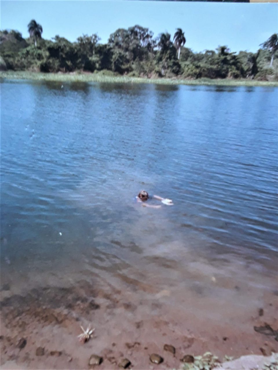 SUSAN PELISH – SOUTH FLORIDA ARTIST