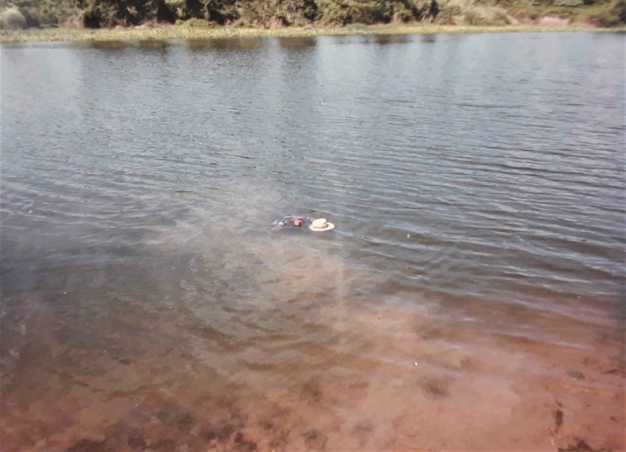 SUSAN PELISH – SOUTH FLORIDA ARTIST