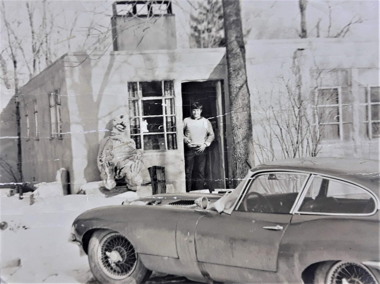 SUSAN PELISH – SOUTH FLORIDA ARTIST