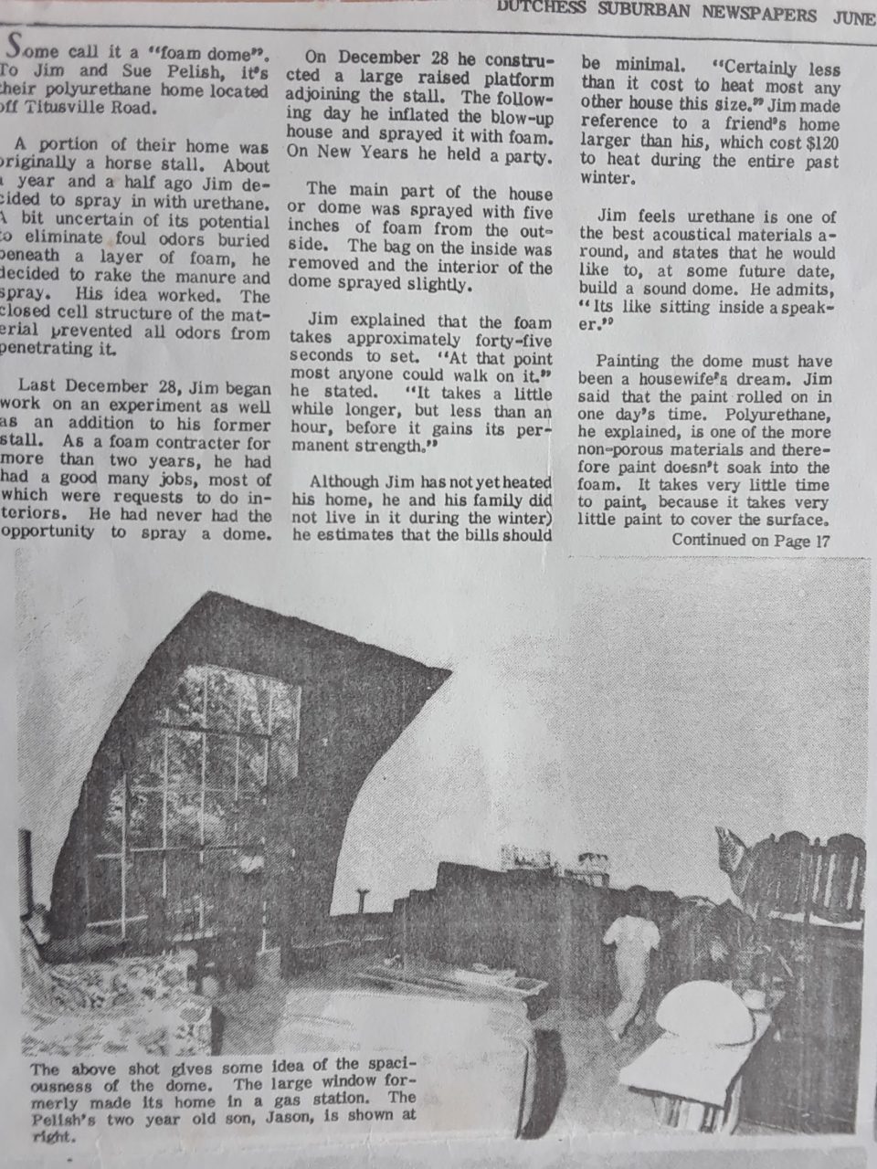 SUSAN PELISH – SOUTH FLORIDA ARTIST