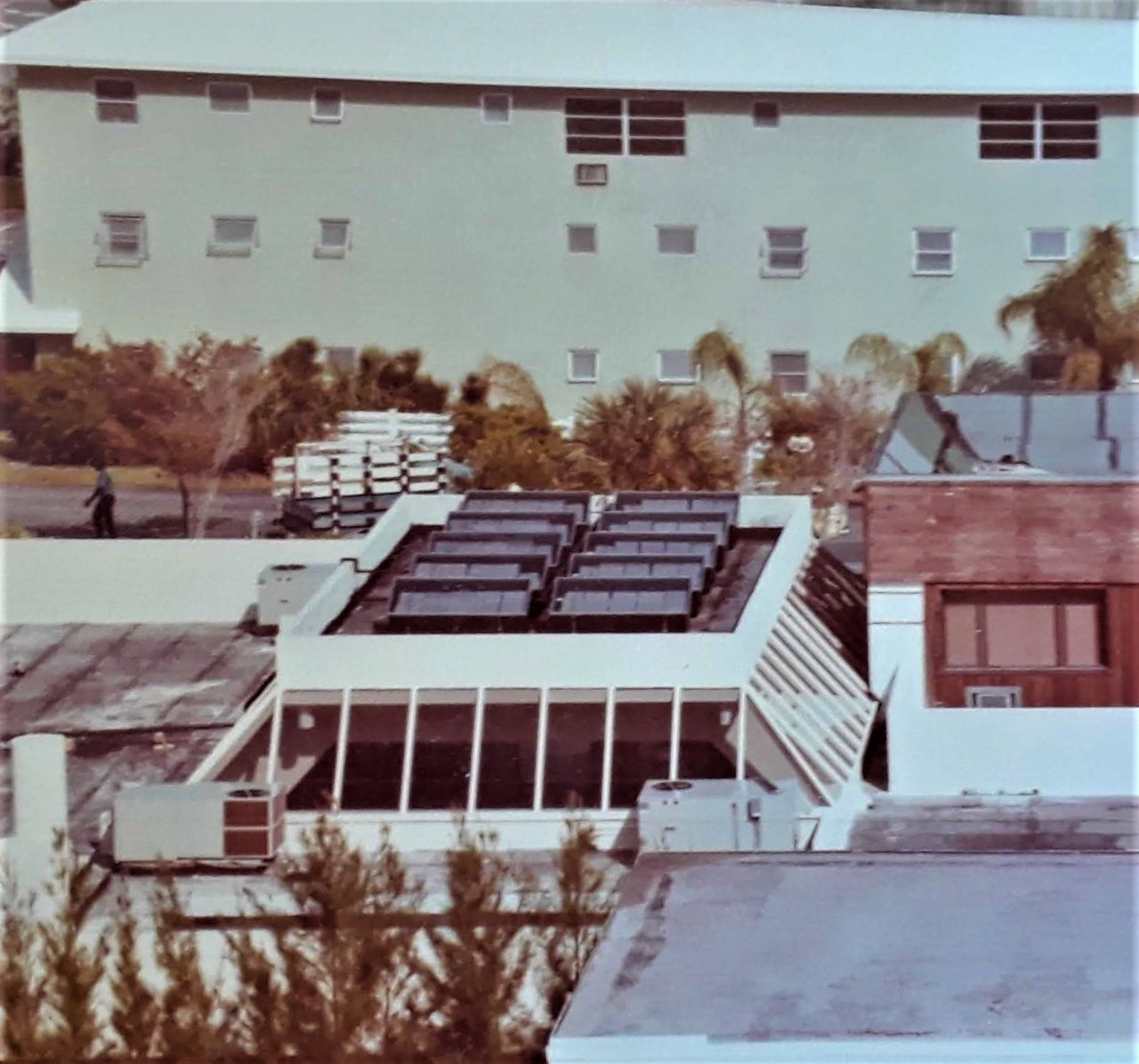 SUSAN PELISH – SOUTH FLORIDA ARTIST