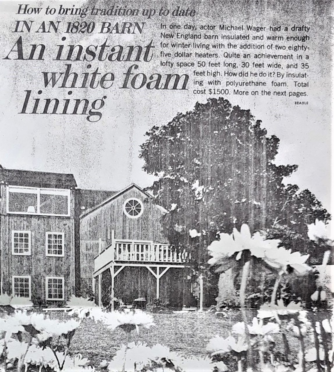 SUSAN PELISH – SOUTH FLORIDA ARTIST