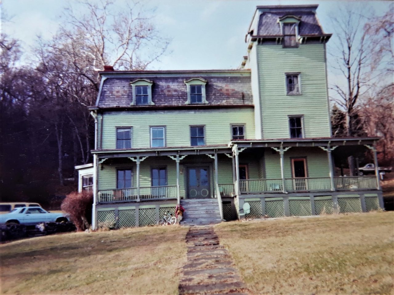 SUSAN PELISH – SOUTH FLORIDA ARTIST