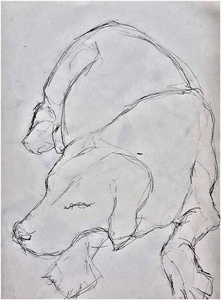 SUSAN PELISH – SOUTH FLORIDA ARTIST