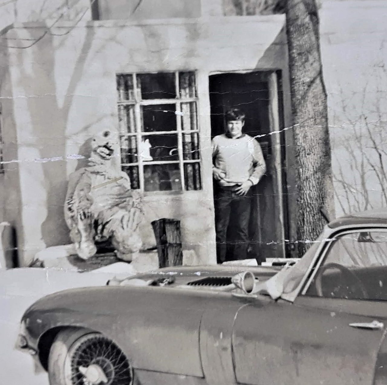 SUSAN PELISH – SOUTH FLORIDA ARTIST