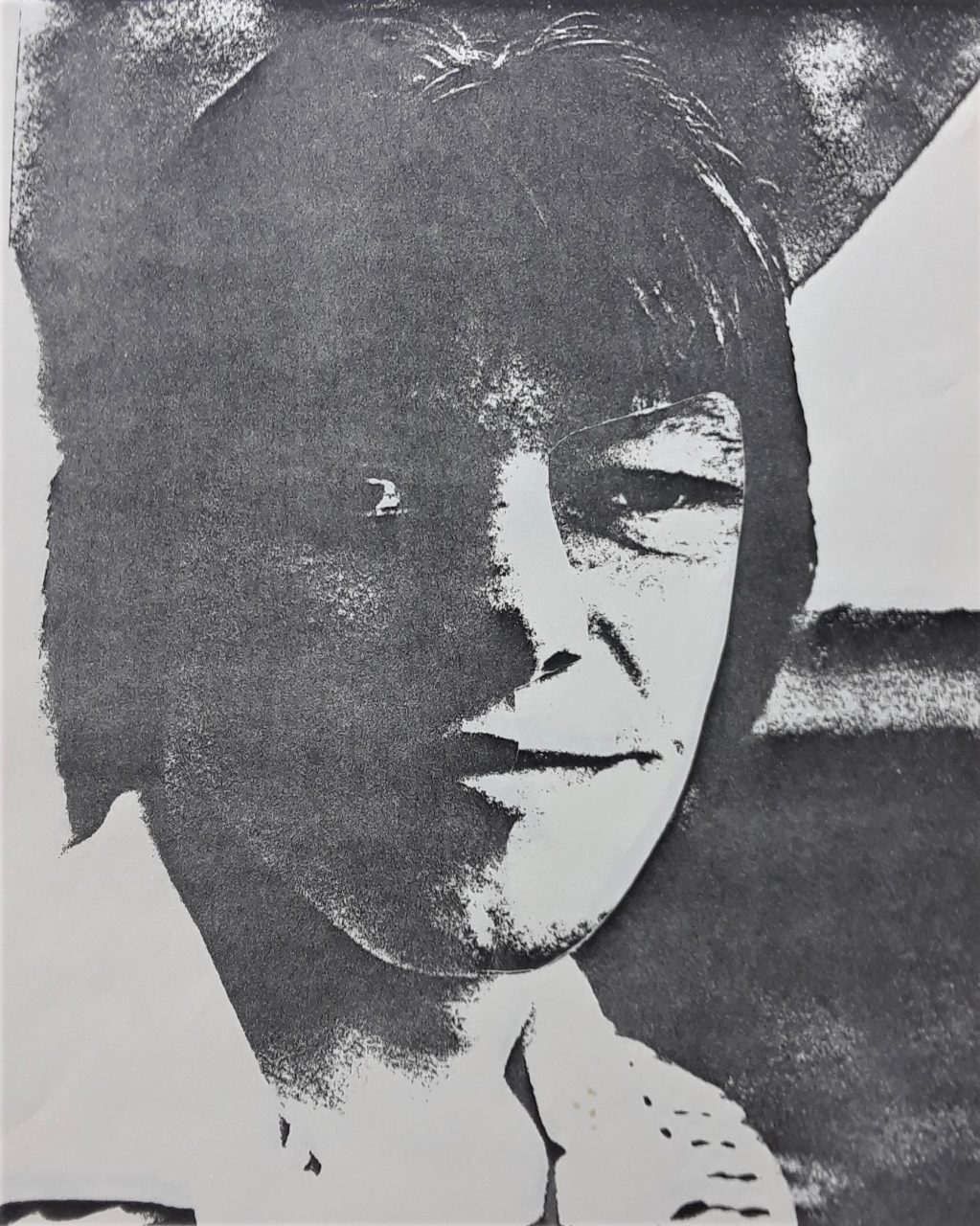 SUSAN PELISH – SOUTH FLORIDA ARTIST