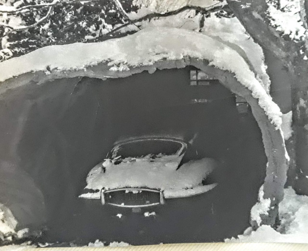 SUSAN PELISH – SOUTH FLORIDA ARTIST