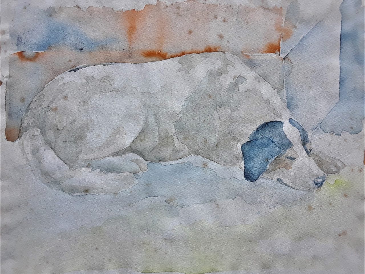 SUSAN PELISH – SOUTH FLORIDA ARTIST