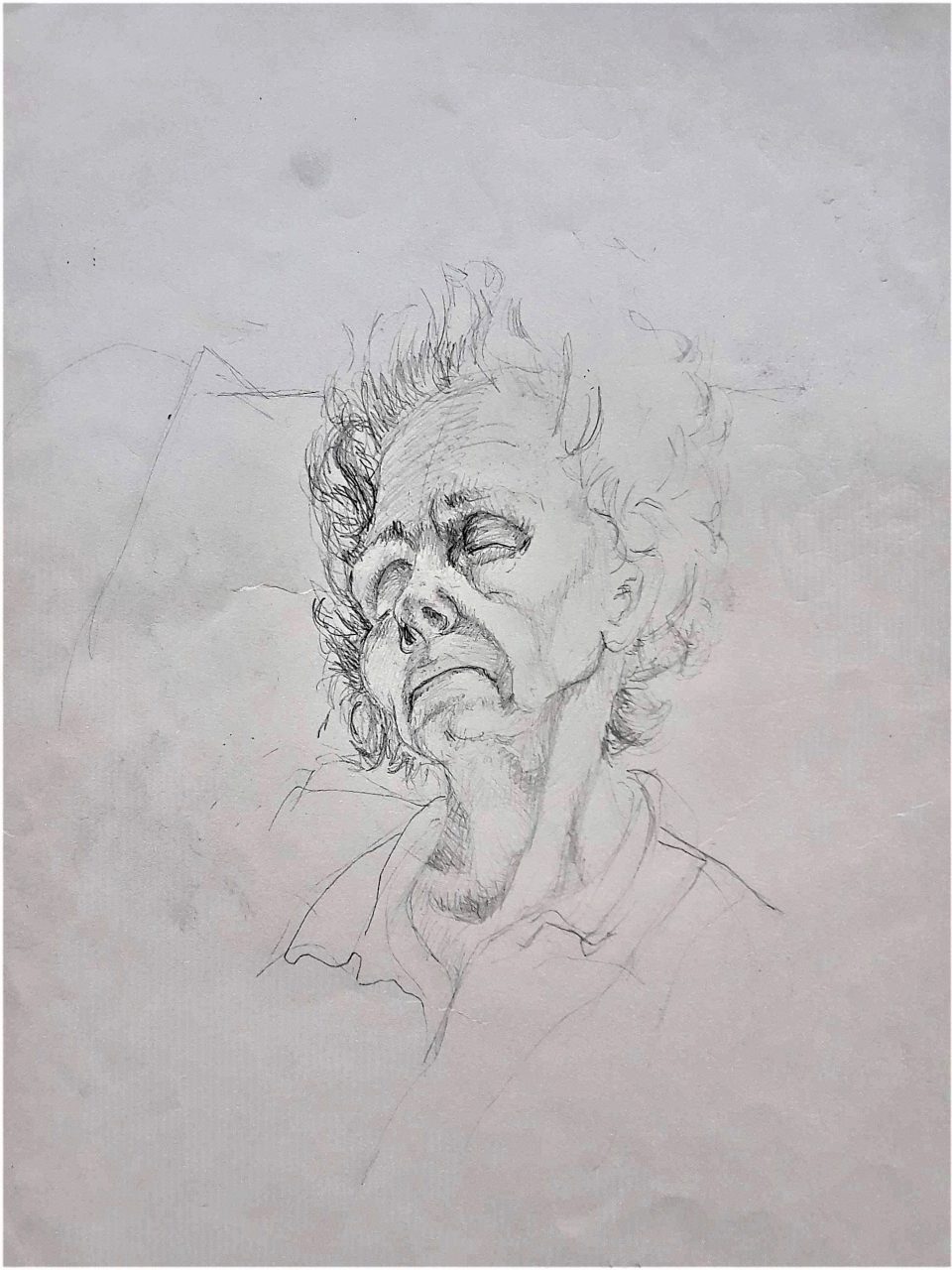 SUSAN PELISH – SOUTH FLORIDA ARTIST