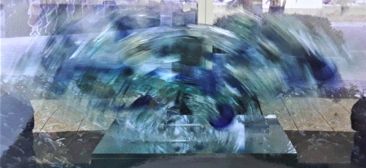 SUSAN PELISH – SOUTH FLORIDA ARTIST