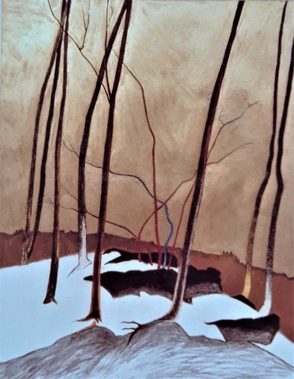 SUSAN PELISH – SOUTH FLORIDA ARTIST