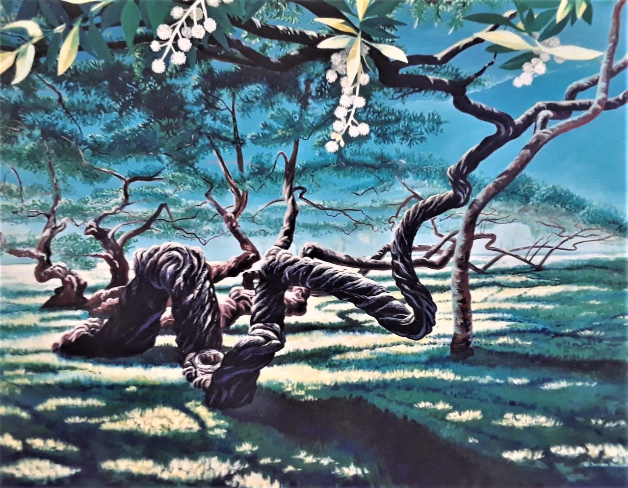 SUSAN PELISH – SOUTH FLORIDA ARTIST