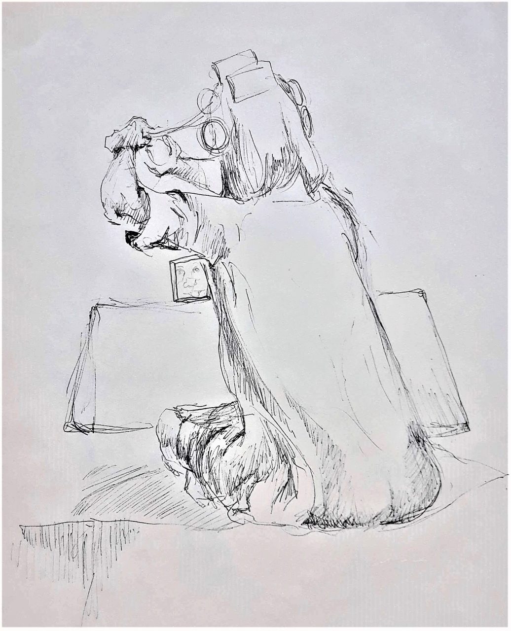 SUSAN PELISH – SOUTH FLORIDA ARTIST