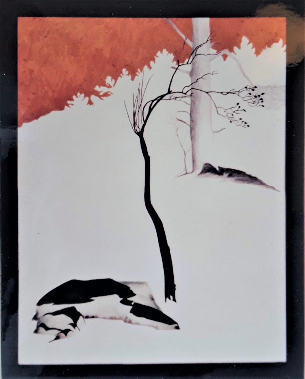 SUSAN PELISH – SOUTH FLORIDA ARTIST