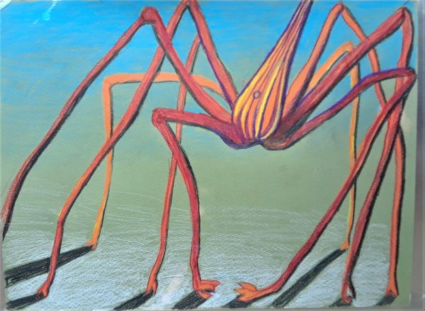 ARROW CRAB