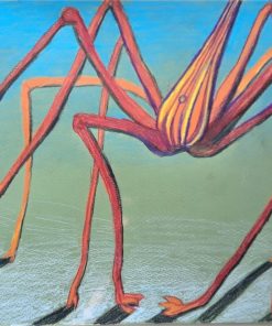 ARROW CRAB