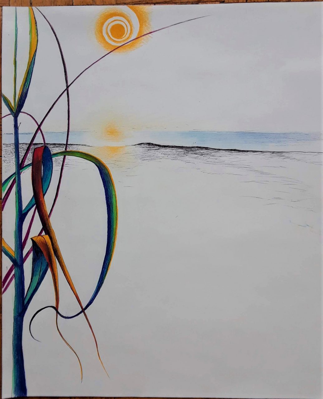 SUSAN PELISH – SOUTH FLORIDA ARTIST