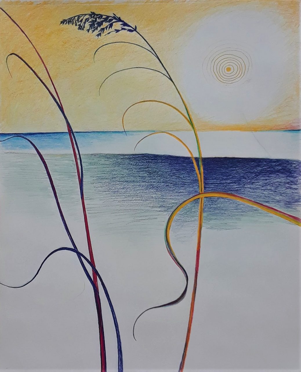 SUSAN PELISH – SOUTH FLORIDA ARTIST