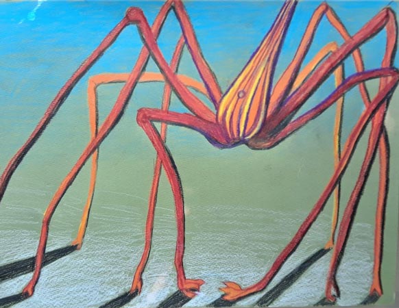 Arrow Crab by Susan Pelish