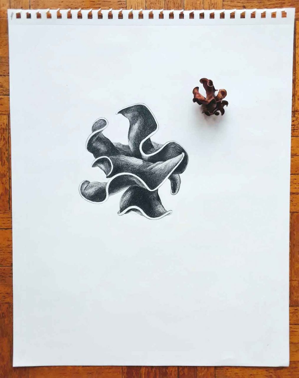 SUSAN PELISH – SOUTH FLORIDA ARTIST