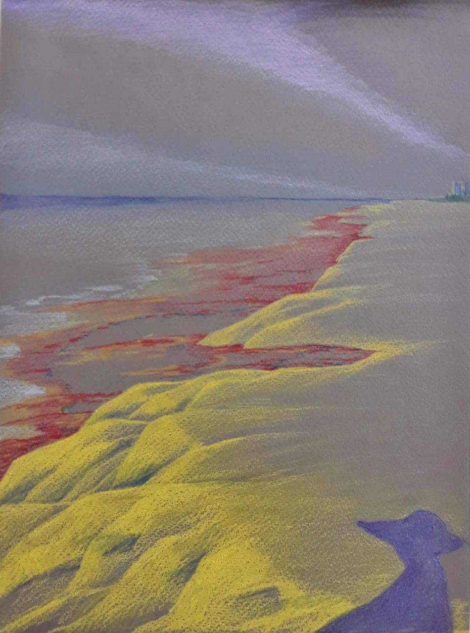 SUSAN PELISH – SOUTH FLORIDA ARTIST