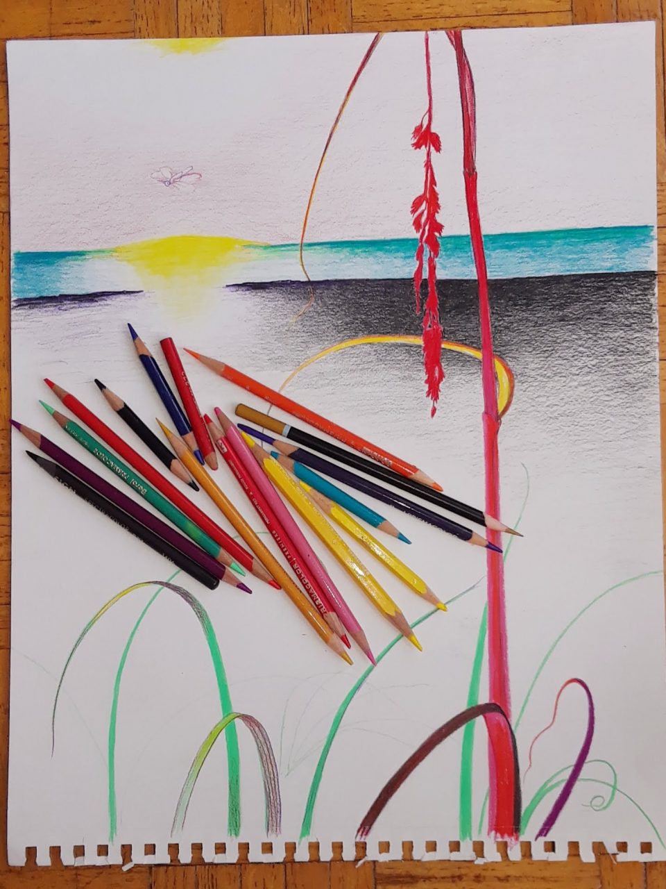 SUSAN PELISH – SOUTH FLORIDA ARTIST