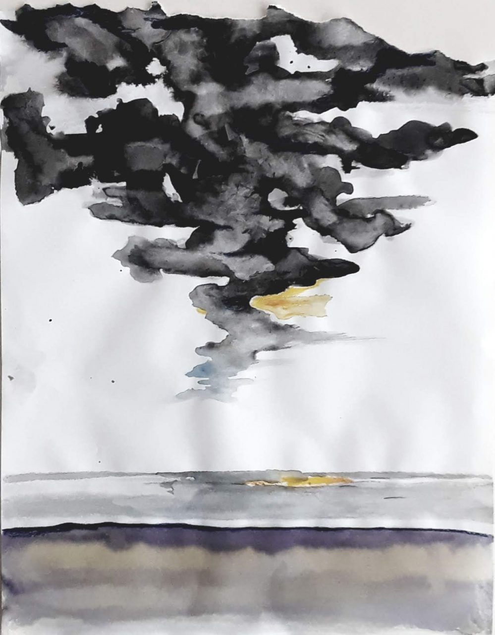 SUSAN PELISH – SOUTH FLORIDA ARTIST