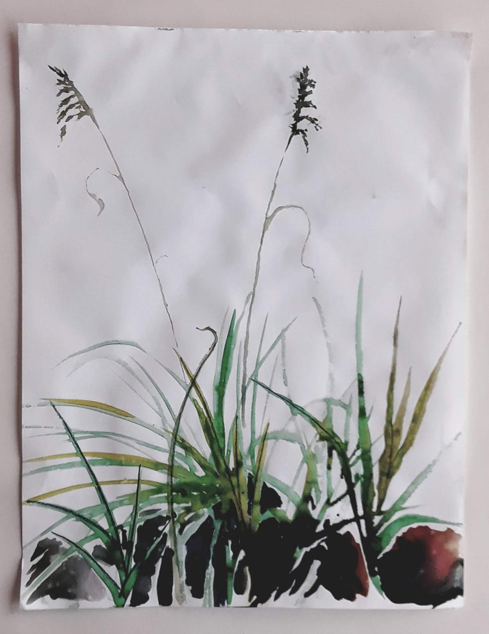 SUSAN PELISH – SOUTH FLORIDA ARTIST