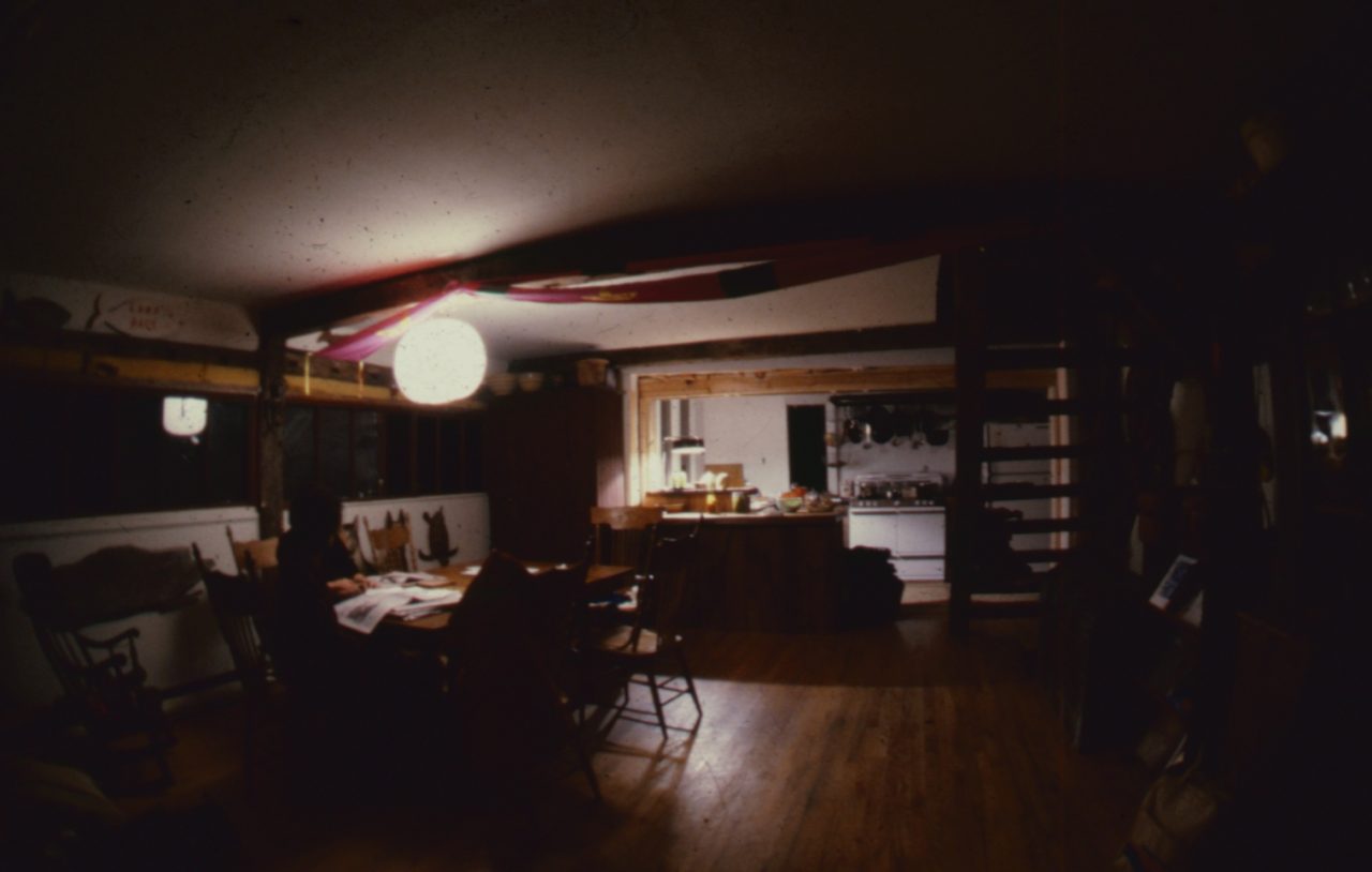 SUSAN PELISH – SOUTH FLORIDA ARTIST