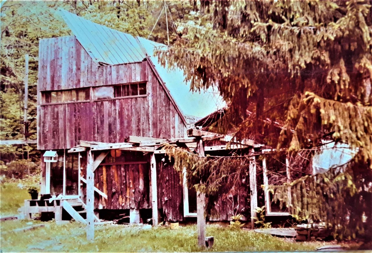 SUSAN PELISH – SOUTH FLORIDA ARTIST