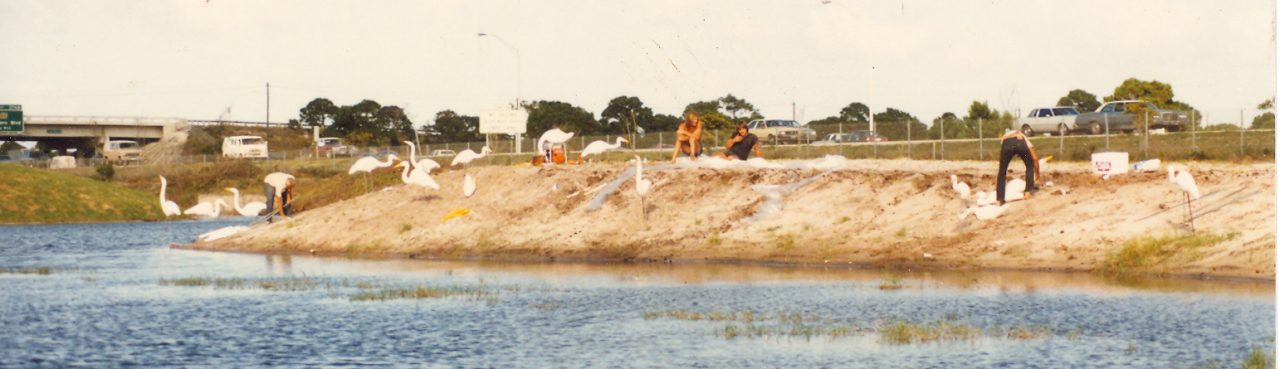 SUSAN PELISH – SOUTH FLORIDA ARTIST